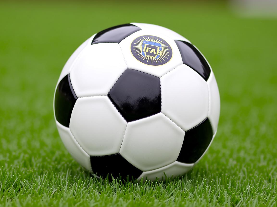 开云体育app-“2025世界游泳锦标赛：哪些项目值得一看？”  第3张