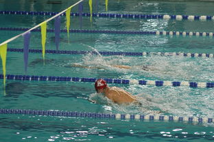 开云体育平台-“2025世界游泳锦标赛：水上芭蕾展现不一样的艺术魅力”  第3张